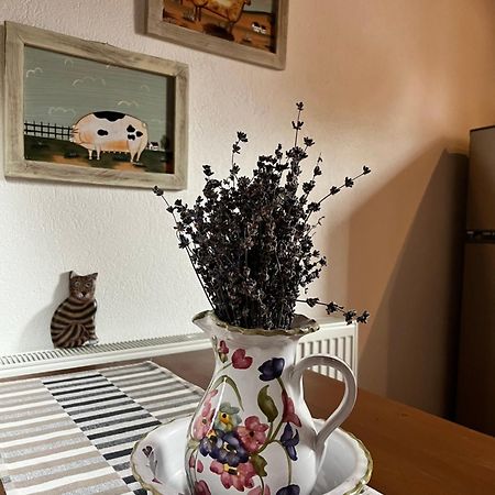 Olympus Country House Karia  外观 照片