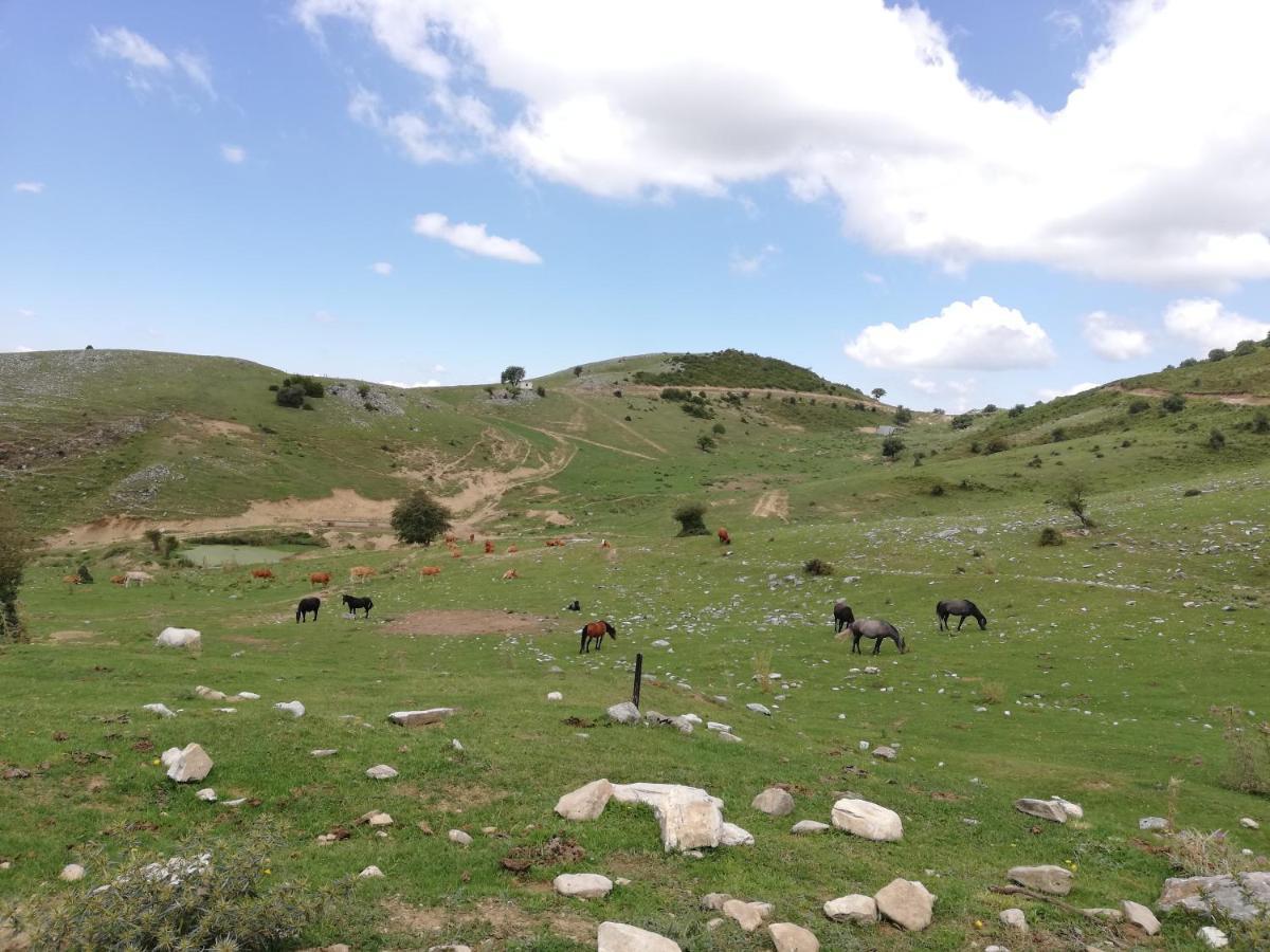 Olympus Country House Karia  外观 照片