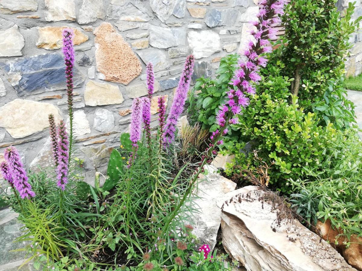 Olympus Country House Karia  外观 照片